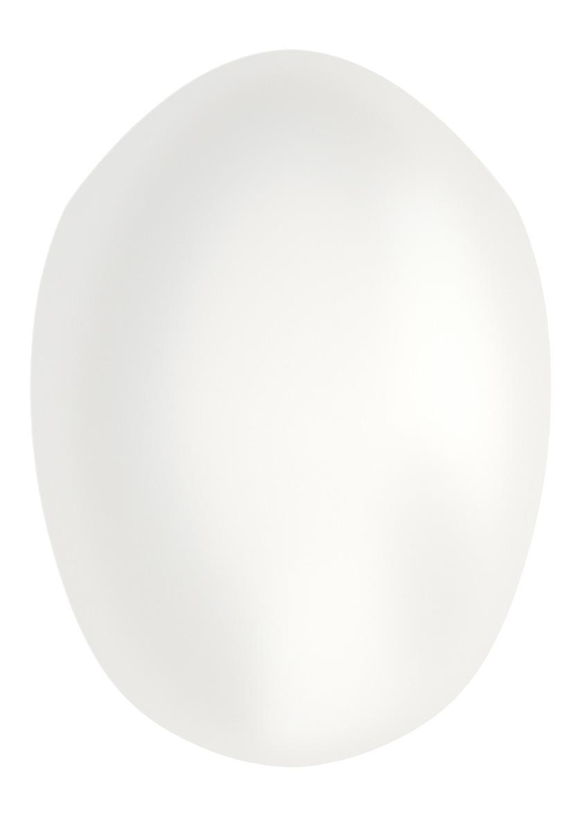 Base de peau 0.06mm pour complément capillaire 