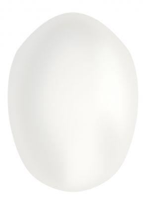Base de peau 0.06mm pour complément capillaire 