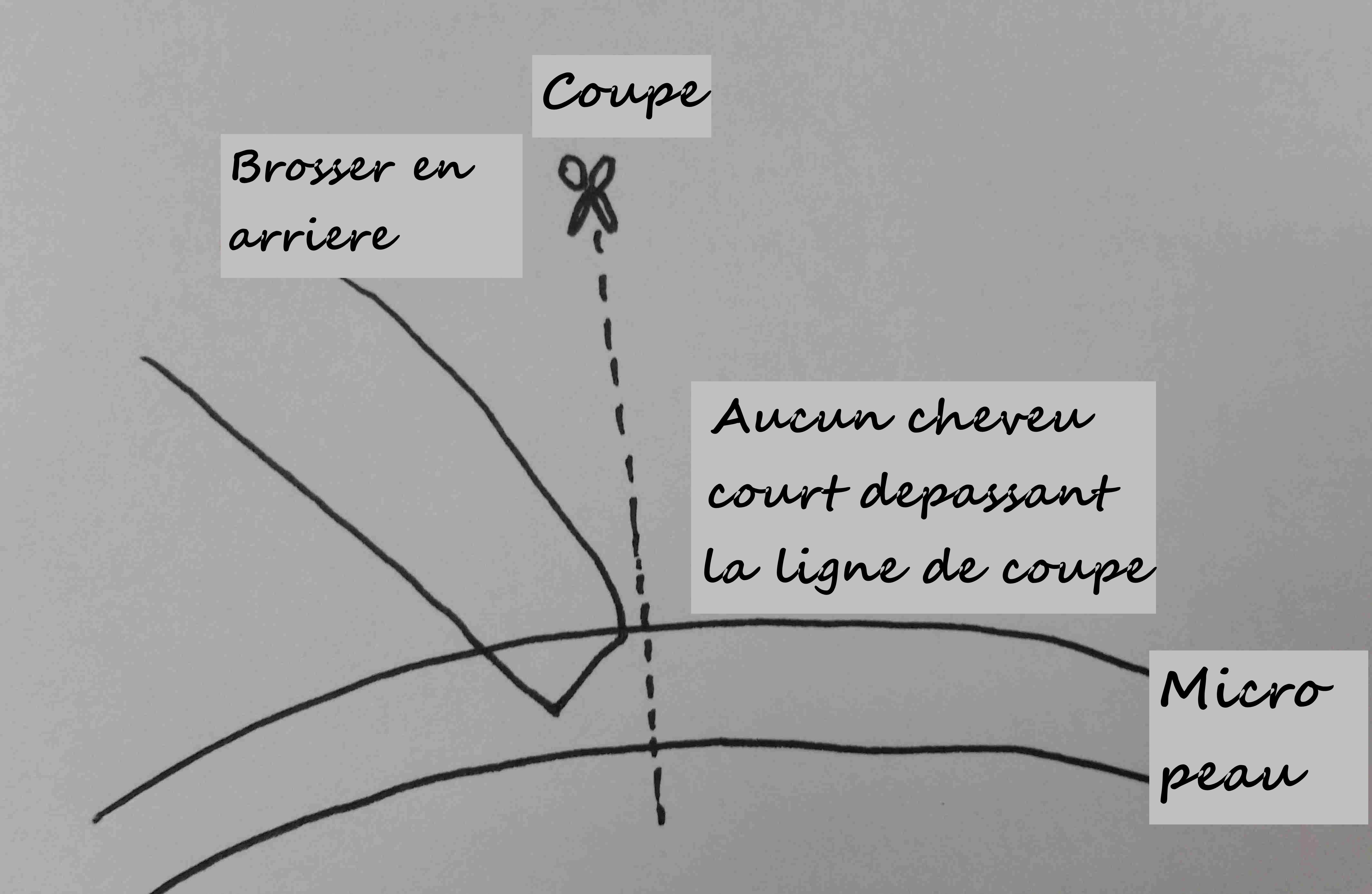 Schema d'une coupe correcte
