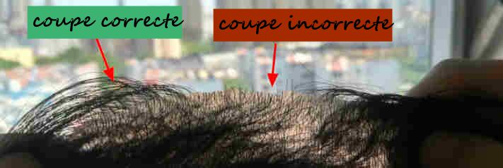 Resultat d'une coupe correcte et incorrecte